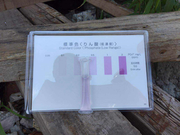 webwxgetmsgimg (2)_副本