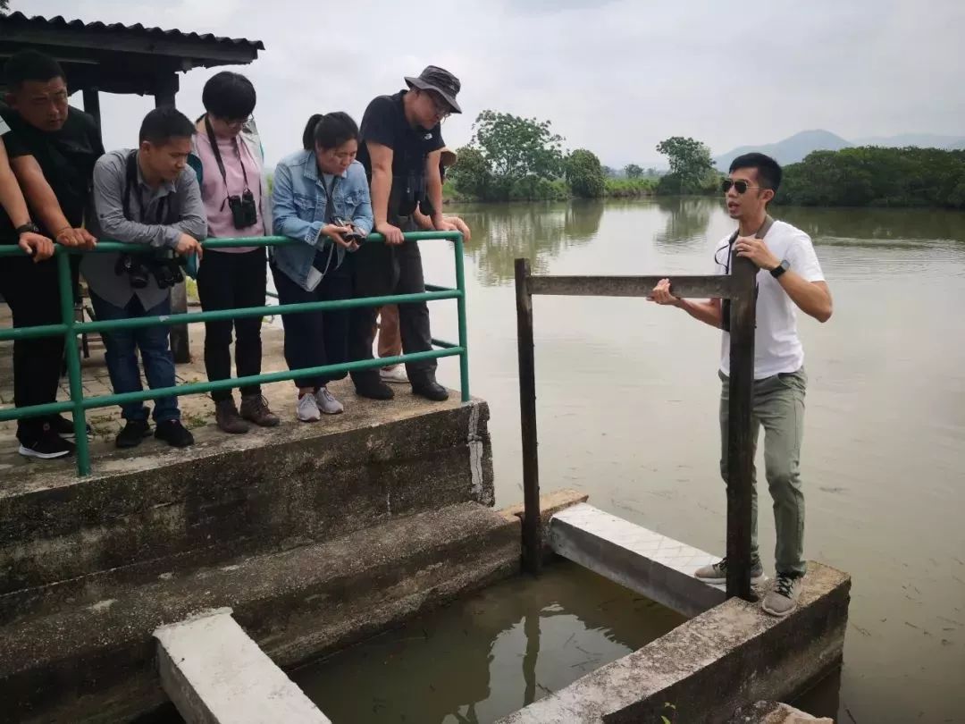 _英语线下课好还是线上课好_如何区别学校保护和社会保护