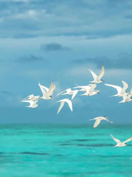 浪花新闻__浪花举行