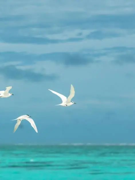 浪花新闻__浪花举行