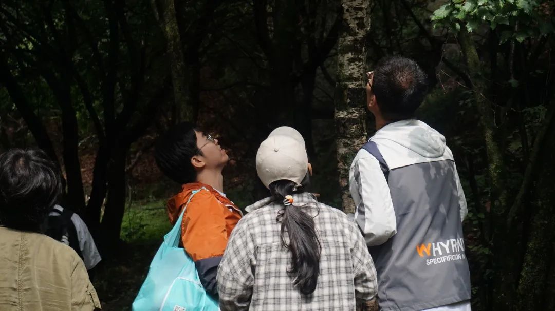 一起在大自然中寻找领导力 | 记青新伙伴2022暑期培训营_一起在大自然中寻找领导力 | 记青新伙伴2022暑期培训营_