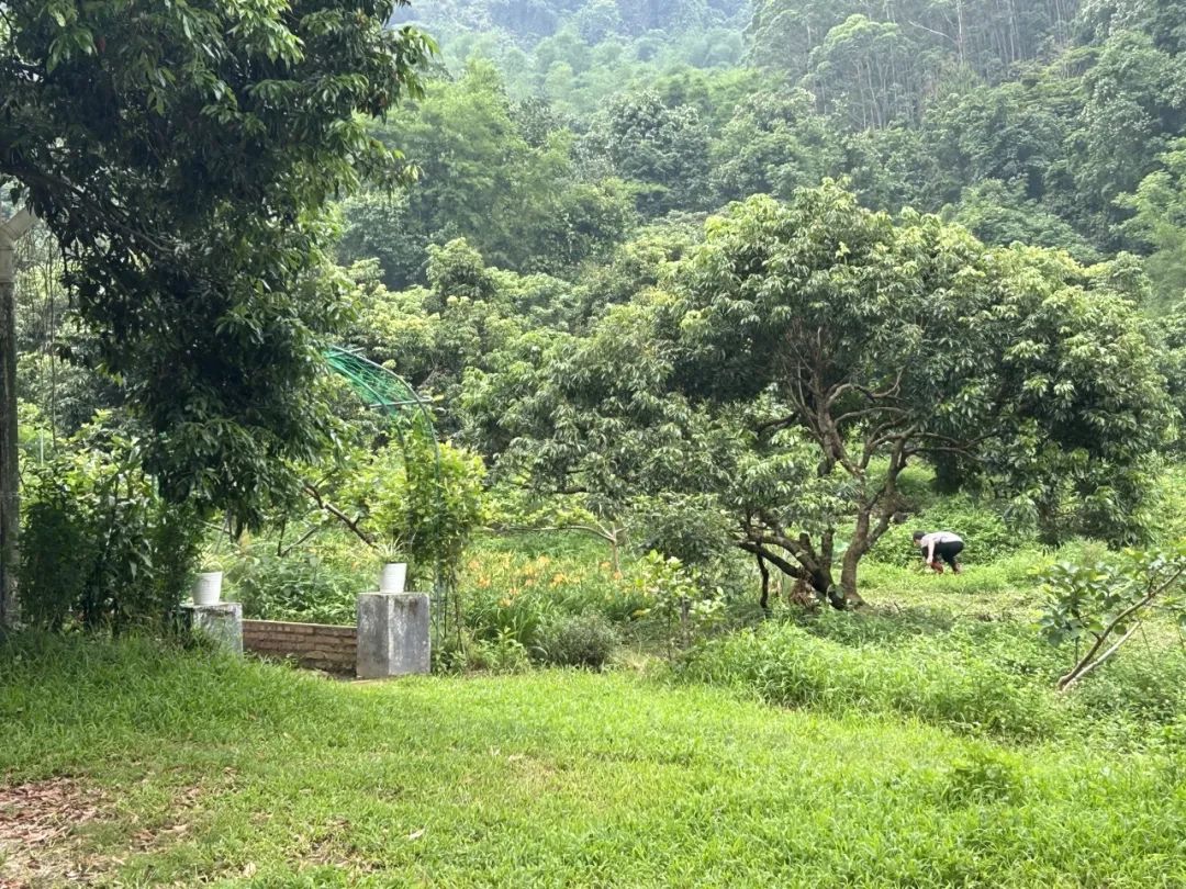 _西天取经：生态农场串联手记_西天取经：生态农场串联手记