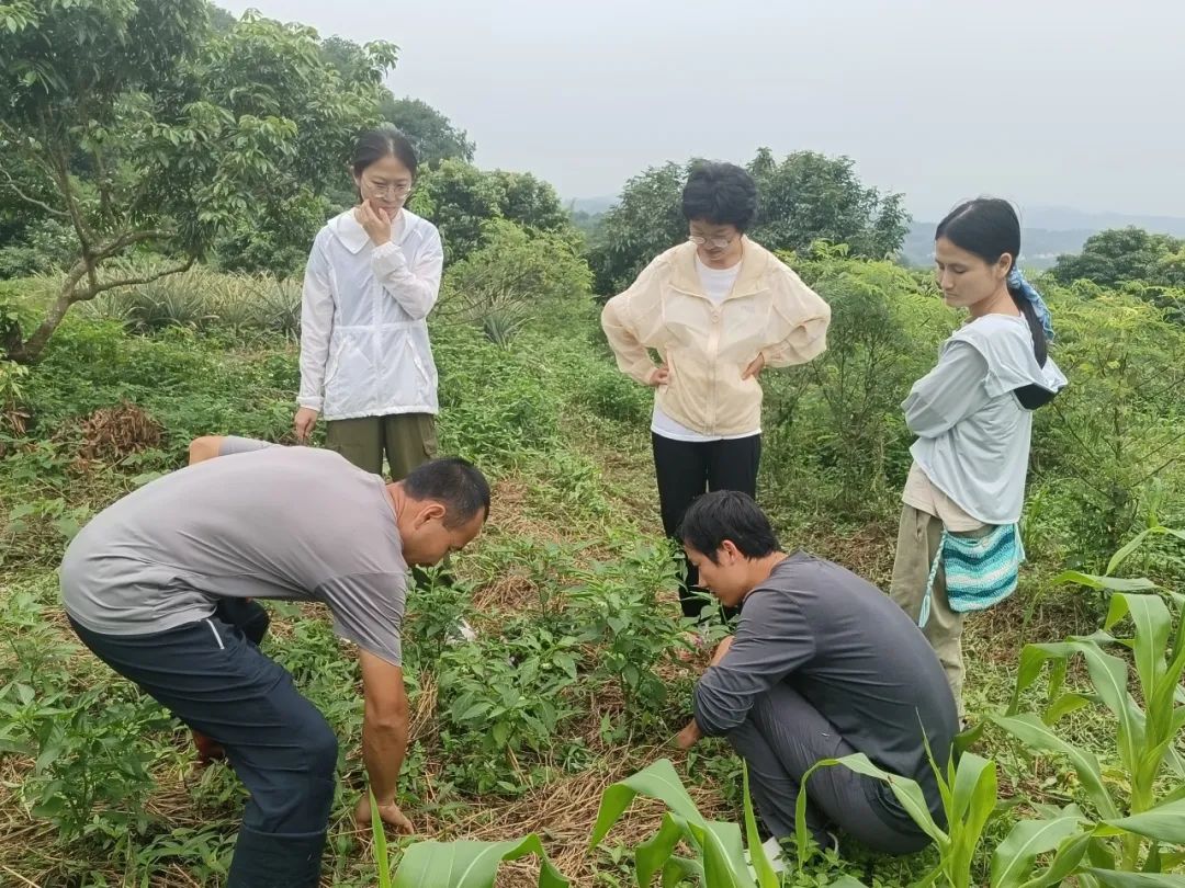 西天取经：生态农场串联手记__西天取经：生态农场串联手记