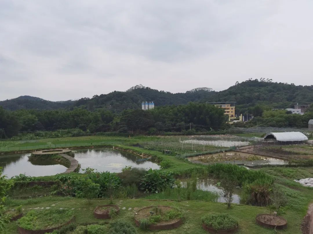 西天取经：生态农场串联手记__西天取经：生态农场串联手记