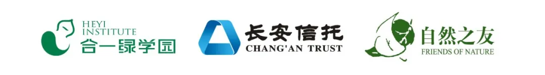 长江信托集团_长安信托基金会_