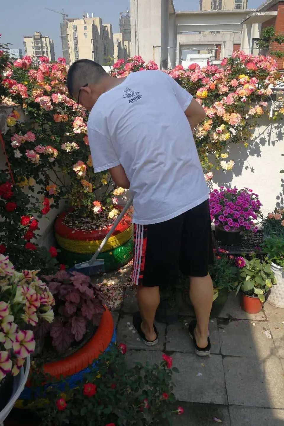 _在高密度社区，乐享花花世界_在高密度社区，乐享花花世界