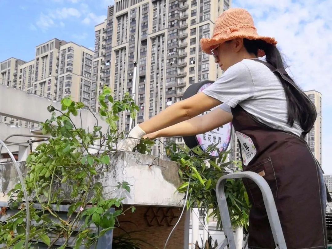 _在高密度社区，乐享花花世界_在高密度社区，乐享花花世界