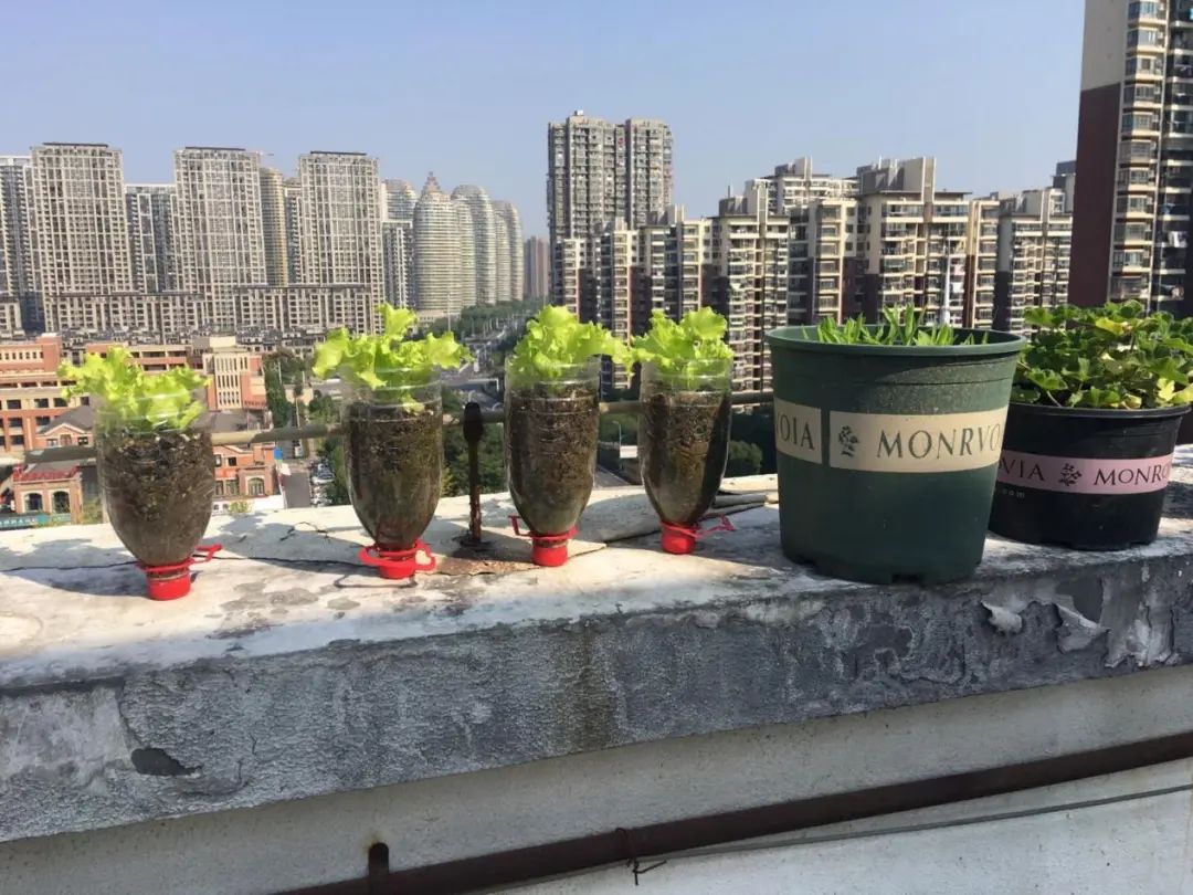 在高密度社区，乐享花花世界_在高密度社区，乐享花花世界_