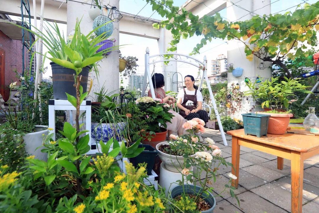在高密度社区，乐享花花世界__在高密度社区，乐享花花世界