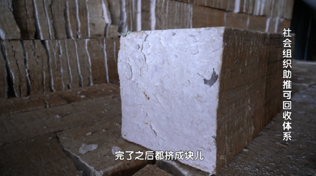 夏天里的故事｜从意大利到“回天”，它山石在亚洲最大社区引动的“绿色觉醒”_夏天里的故事｜从意大利到“回天”，它山石在亚洲最大社区引动的“绿色觉醒”_