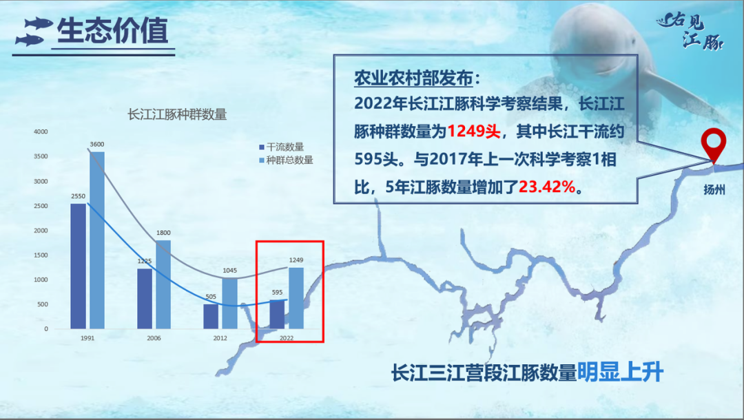 _长江有野生乌龟吗_长江里有海龟吗