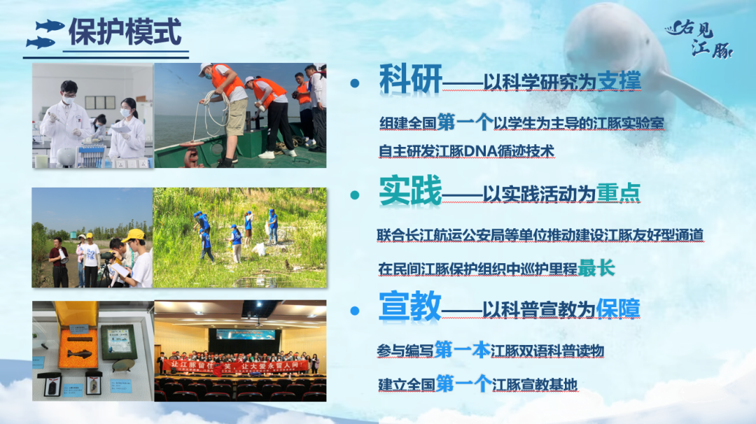 长江里有海龟吗__长江有野生乌龟吗