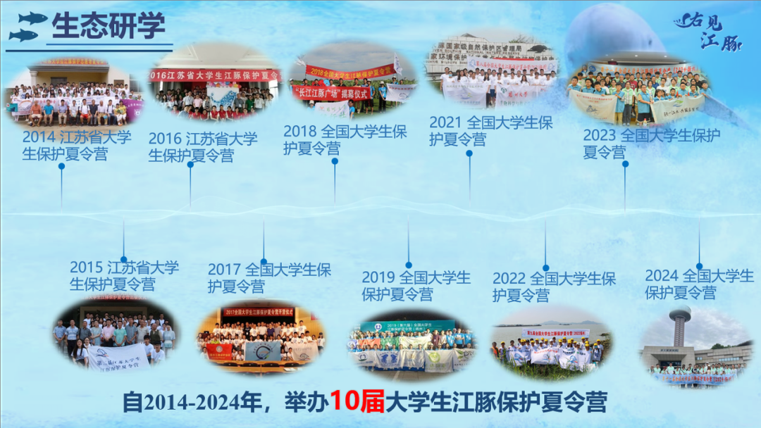 _长江有野生乌龟吗_长江里有海龟吗