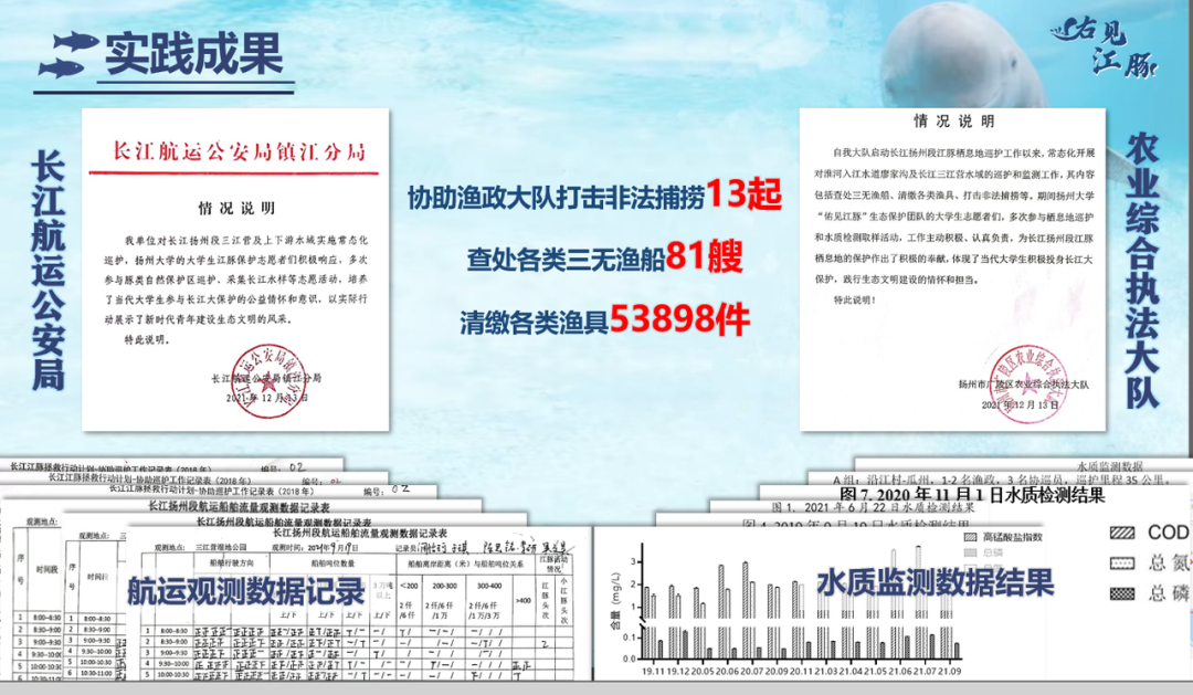_长江有野生乌龟吗_长江里有海龟吗