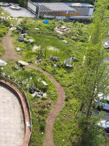 在城市的缝隙中，青年如何参与城市生物多样性保护？（上）__在城市的缝隙中，青年如何参与城市生物多样性保护？（上）