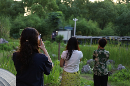 _在城市的缝隙中，青年如何参与城市生物多样性保护？（上）_在城市的缝隙中，青年如何参与城市生物多样性保护？（上）