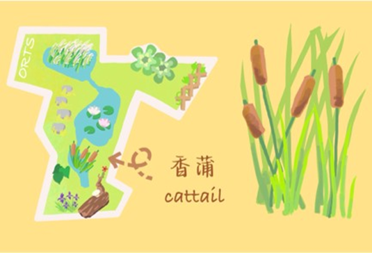 在城市的缝隙中，青年如何参与城市生物多样性保护？（上）__在城市的缝隙中，青年如何参与城市生物多样性保护？（上）