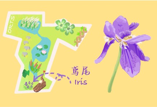在城市的缝隙中，青年如何参与城市生物多样性保护？（上）__在城市的缝隙中，青年如何参与城市生物多样性保护？（上）
