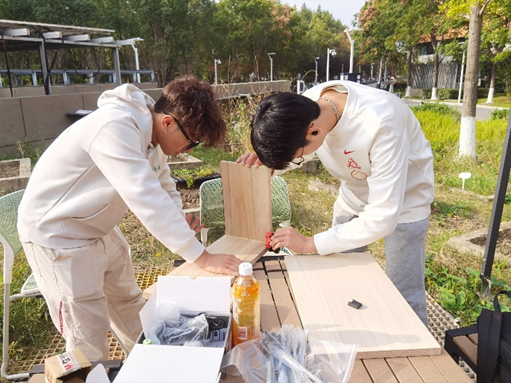 _在城市的缝隙中，青年如何参与城市生物多样性保护？（上）_在城市的缝隙中，青年如何参与城市生物多样性保护？（上）