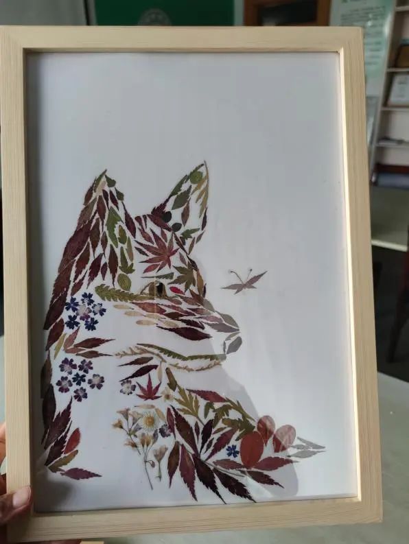 _在城市的缝隙中，青年如何参与城市生物多样性保护？（上）_在城市的缝隙中，青年如何参与城市生物多样性保护？（上）