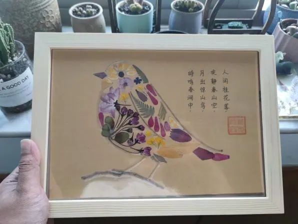 _在城市的缝隙中，青年如何参与城市生物多样性保护？（上）_在城市的缝隙中，青年如何参与城市生物多样性保护？（上）