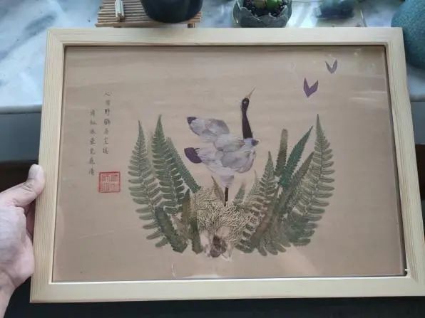 在城市的缝隙中，青年如何参与城市生物多样性保护？（上）_在城市的缝隙中，青年如何参与城市生物多样性保护？（上）_