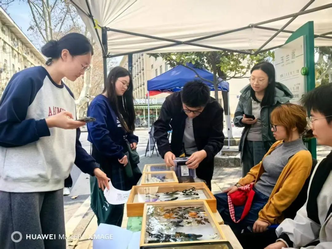 在城市的缝隙中，青年如何参与城市生物多样性保护？（下）__在城市的缝隙中，青年如何参与城市生物多样性保护？（下）