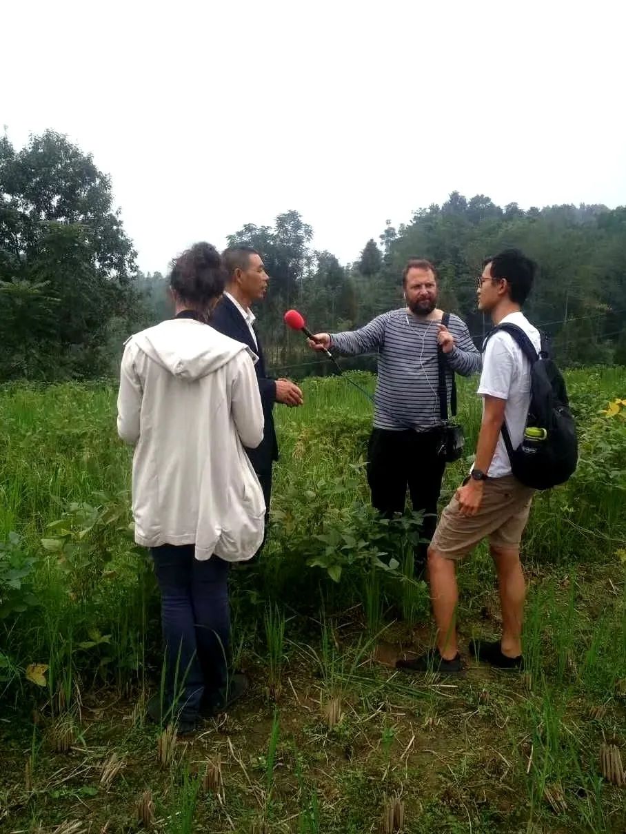 _四川丘陵经济作物_四川糯米扣肉的做法