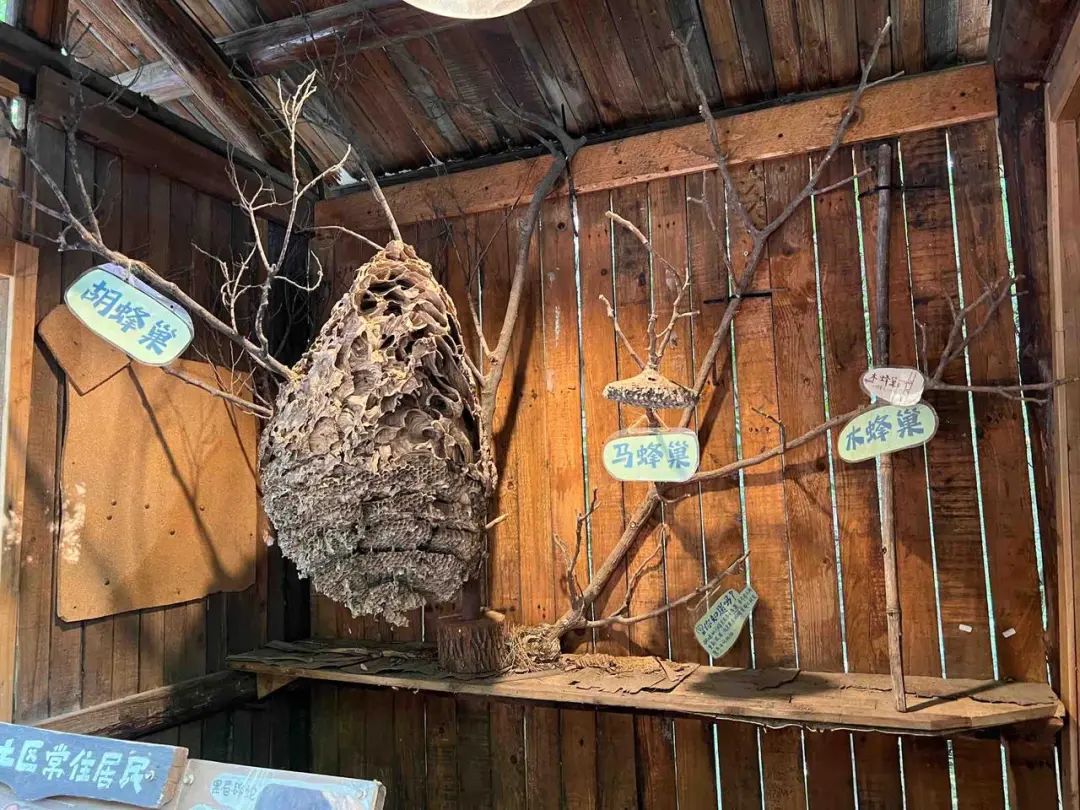 城市生物多样性保护的未来力量｜涓流行动2025青年环保公益精英营回顾_城市生物多样性保护的未来力量｜涓流行动2025青年环保公益精英营回顾_
