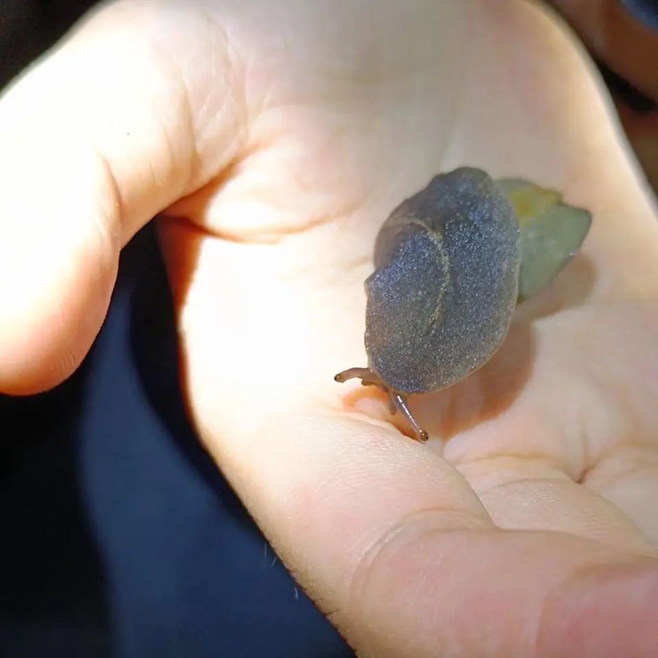 城市生物多样性保护的未来力量｜涓流行动2025青年环保公益精英营回顾_城市生物多样性保护的未来力量｜涓流行动2025青年环保公益精英营回顾_