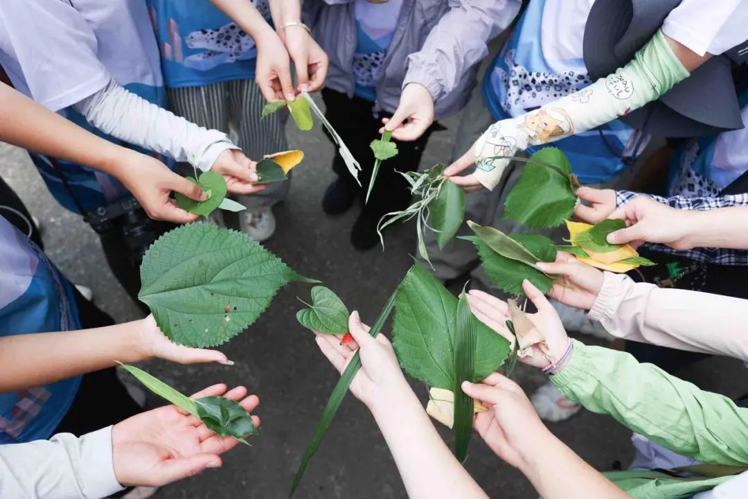 城市生物多样性保护的未来力量｜涓流行动2025青年环保公益精英营回顾_城市生物多样性保护的未来力量｜涓流行动2025青年环保公益精英营回顾_