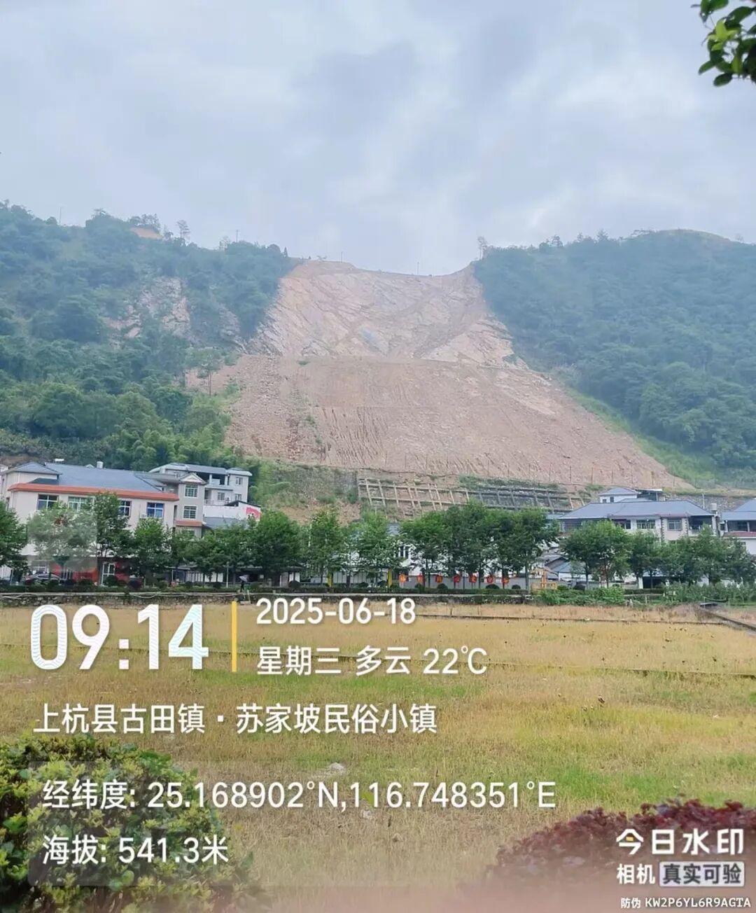 神农尝百草下一句搞笑__神农尝百草哪些草药