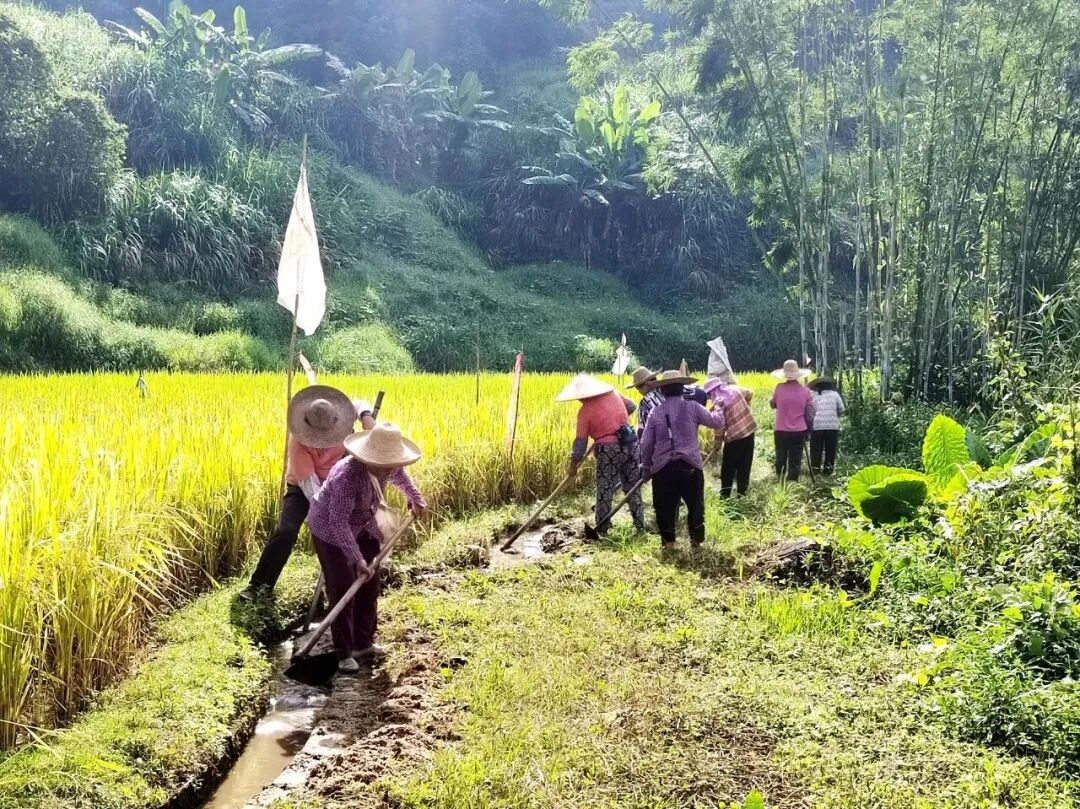 神农尝百草下一句搞笑_神农尝百草哪些草药_