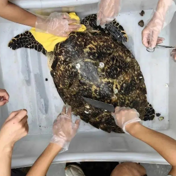 环保公益演讲稿_环保演讲比赛视频_