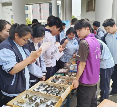 环保公益演讲稿_环保演讲比赛视频_