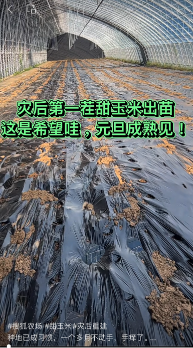 _灾荒农女_灾难灾荒