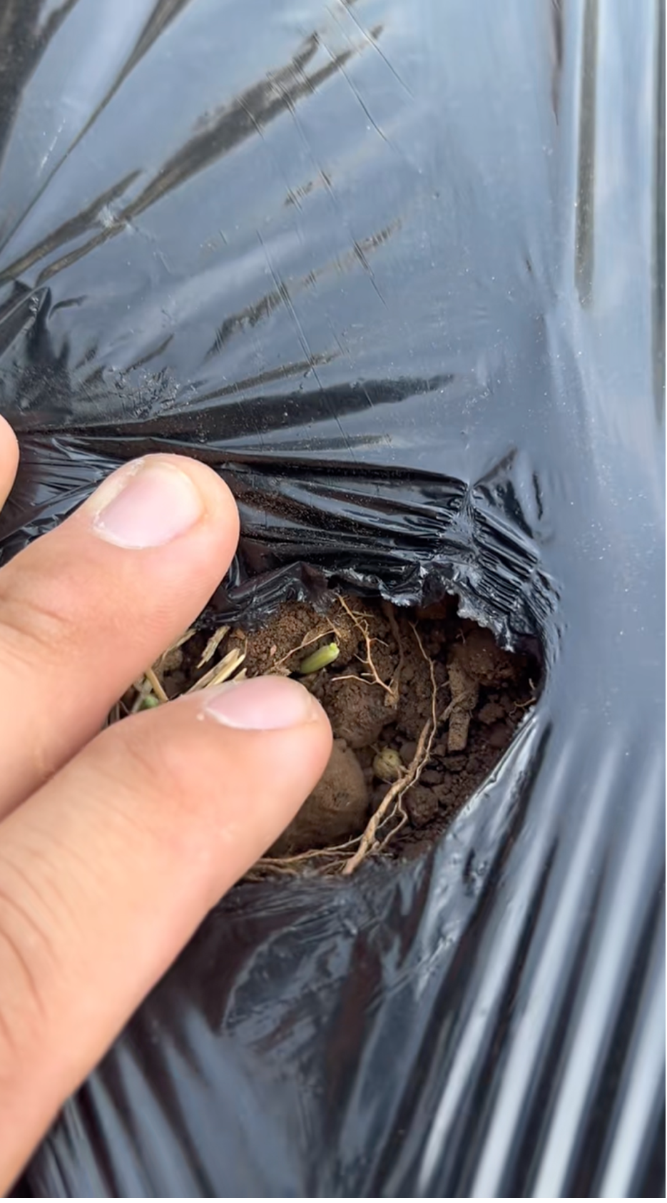 灾难灾荒_灾荒农女_