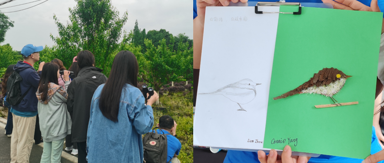 青年实践__青年实践计划