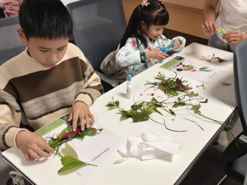 青年实践计划__青年实践