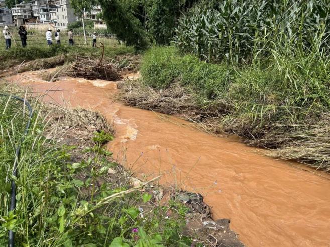 水稻可以干种吗_水稻能在干旱的地区种植吗_