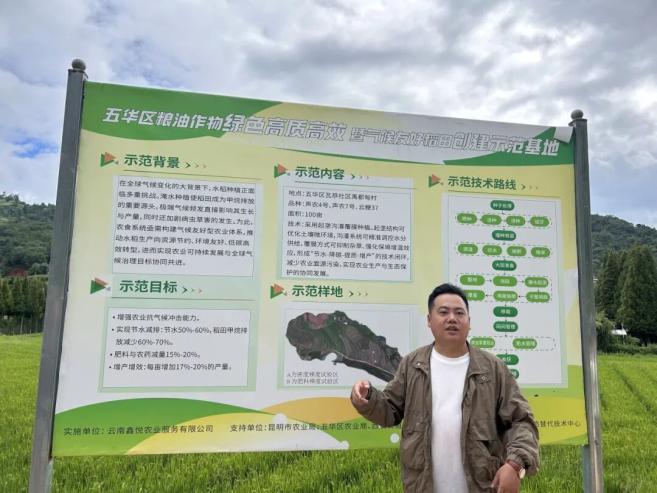 水稻能在干旱的地区种植吗__水稻可以干种吗