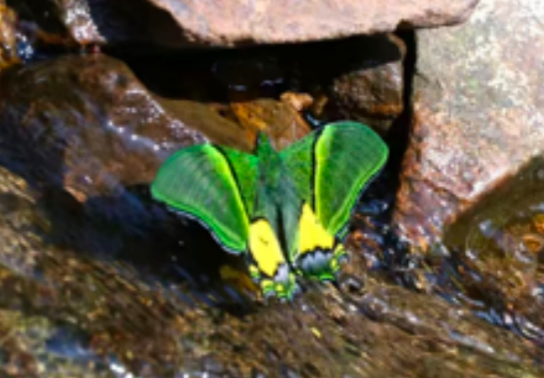 _青年旅途_青年旅行的意义