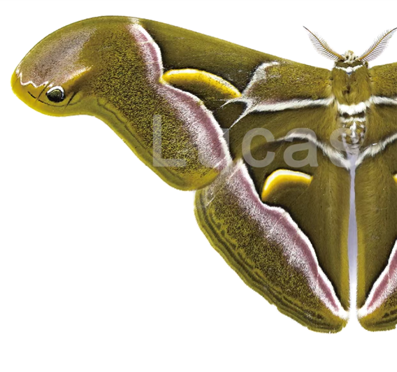 青年旅行的意义__青年旅途