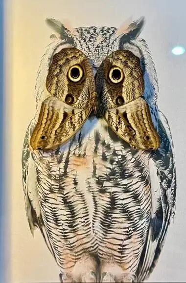 青年旅行的意义__青年旅途