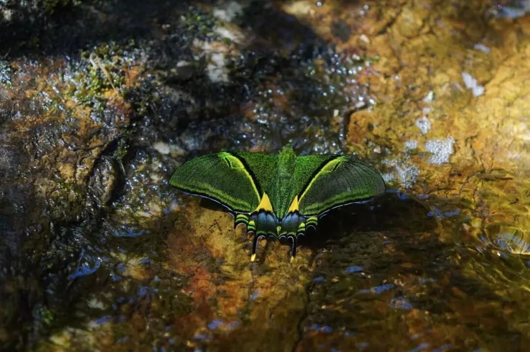 青年旅行的意义_青年旅途_