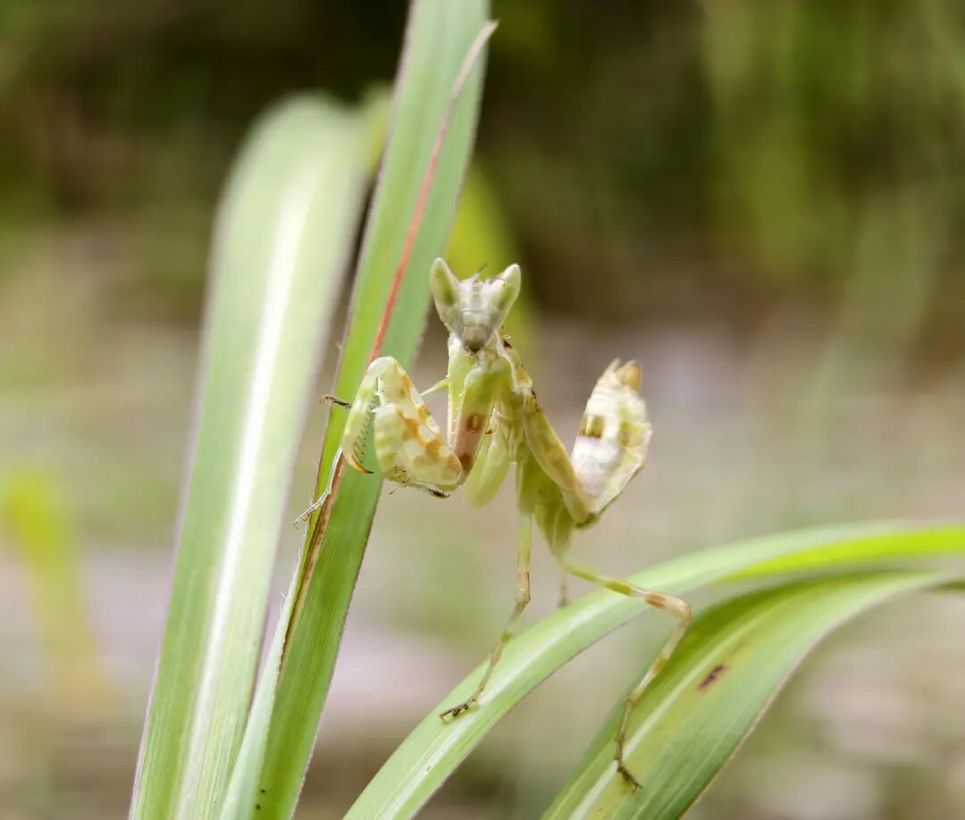 青年旅途_青年旅行的意义_
