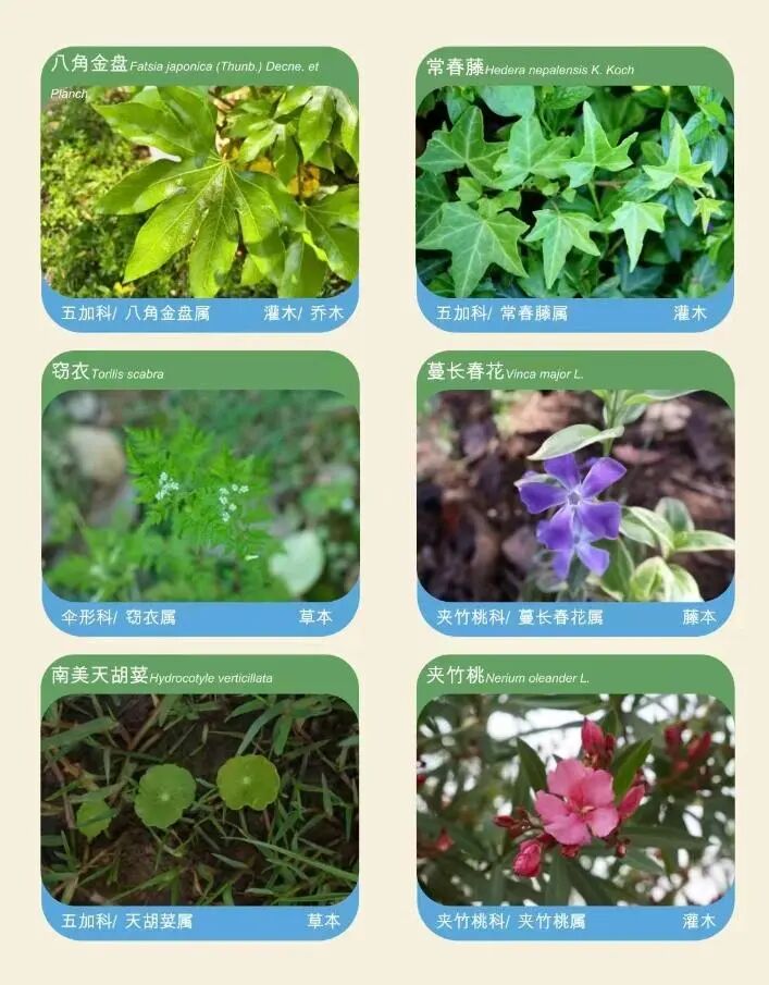 _青年旅行的意义_青年旅途