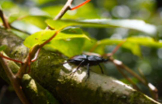 青年旅行的意义__青年旅途