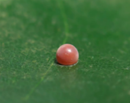 青年旅行的意义__青年旅途