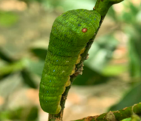 青年旅途__青年旅行的意义